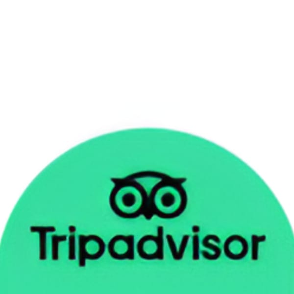 TripAdvisor logo, a black owl icon and text on a bright green background.