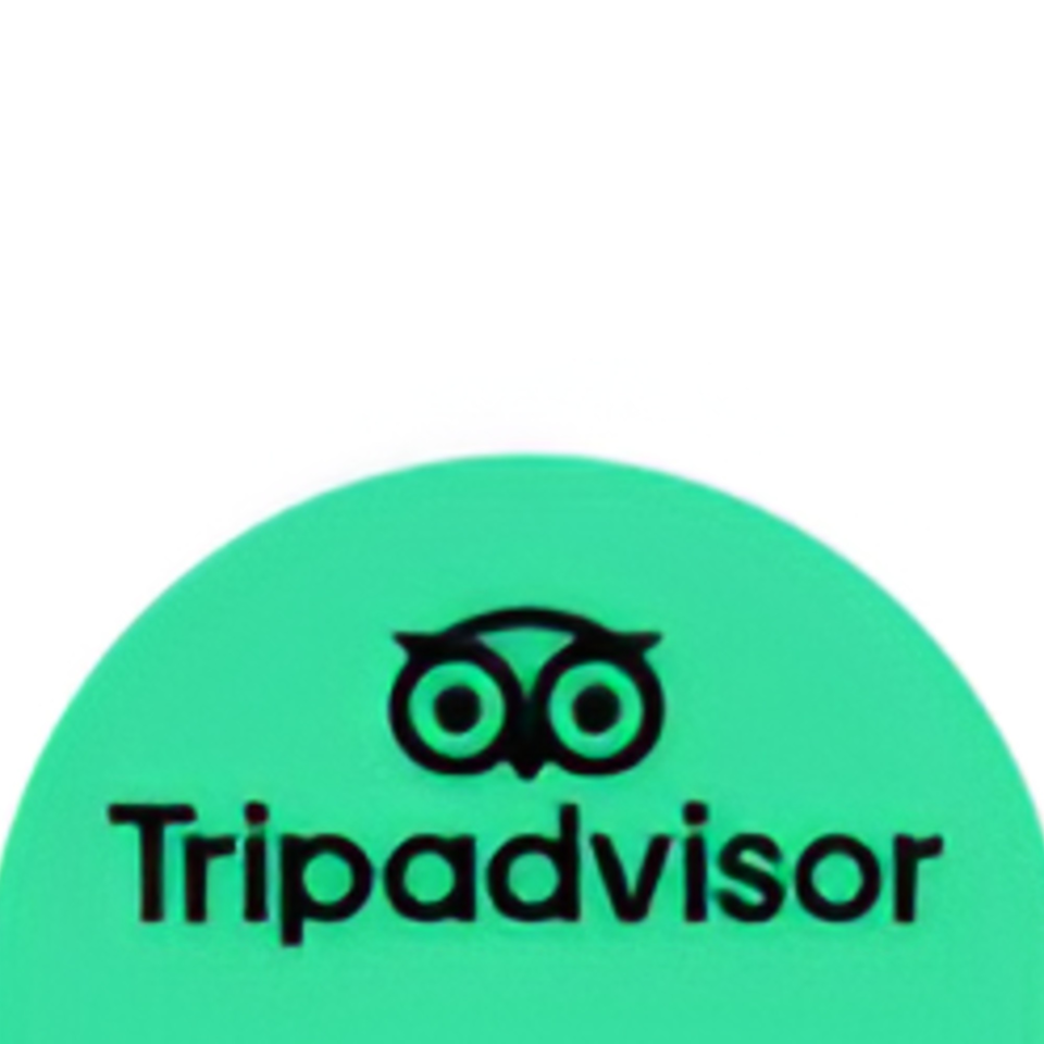 TripAdvisor logo, a black owl icon and text on a bright green background.