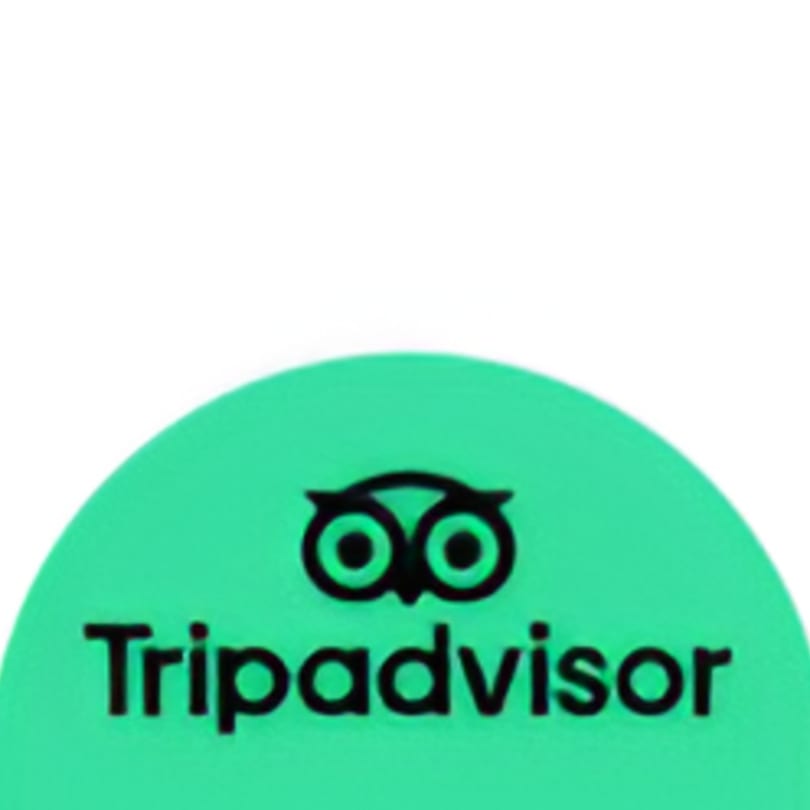 TripAdvisor logo, a black owl icon and text on a bright green background.